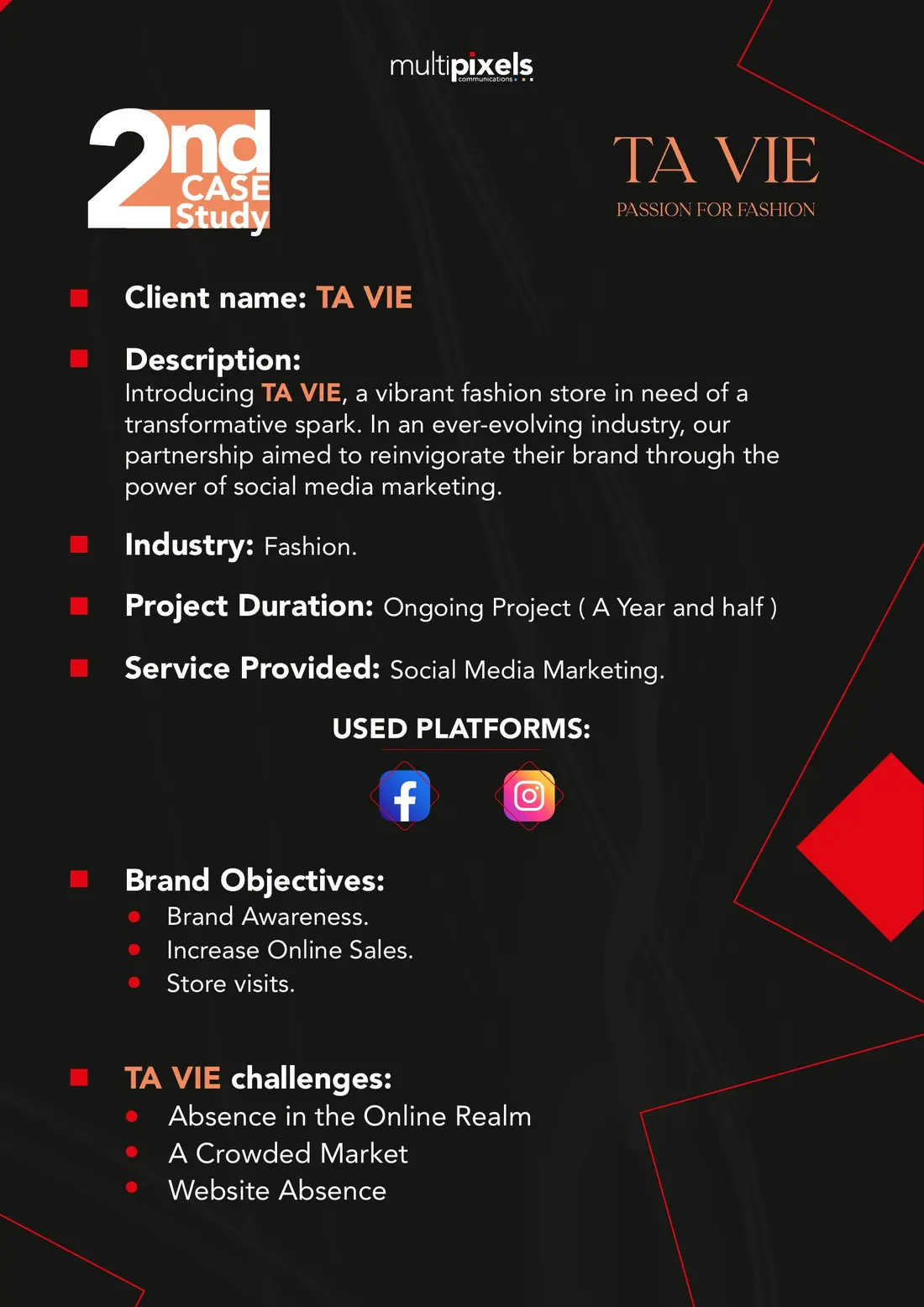 Original TA VIE project overview from the supplied case-study deck